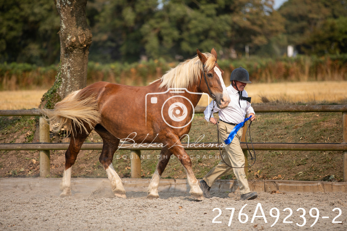 Home Farm Annual Show 2025 - Inhand Pt 1