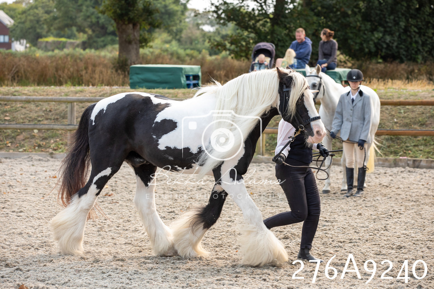 Home Farm Annual Show 2025 - Inhand Pt 1