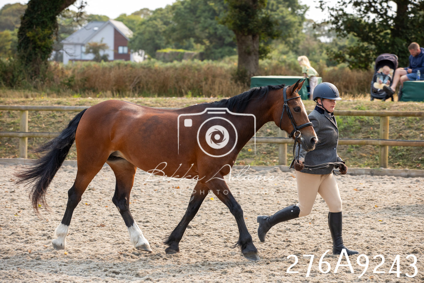 Home Farm Annual Show 2025 - Inhand Pt 1
