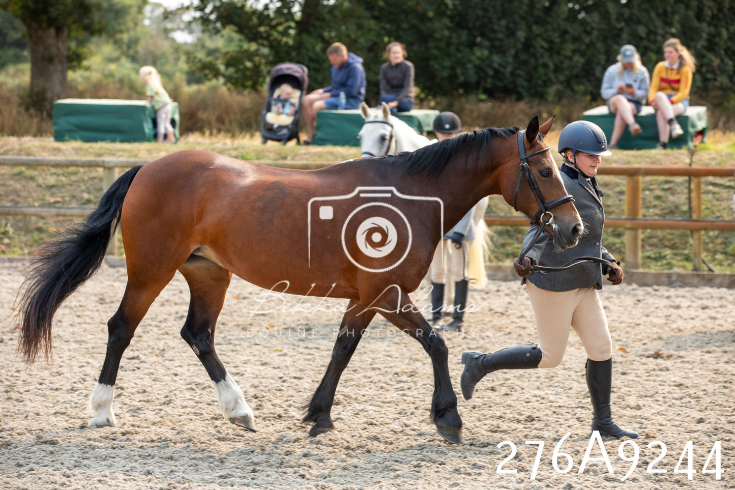 Home Farm Annual Show 2025 - Inhand Pt 1