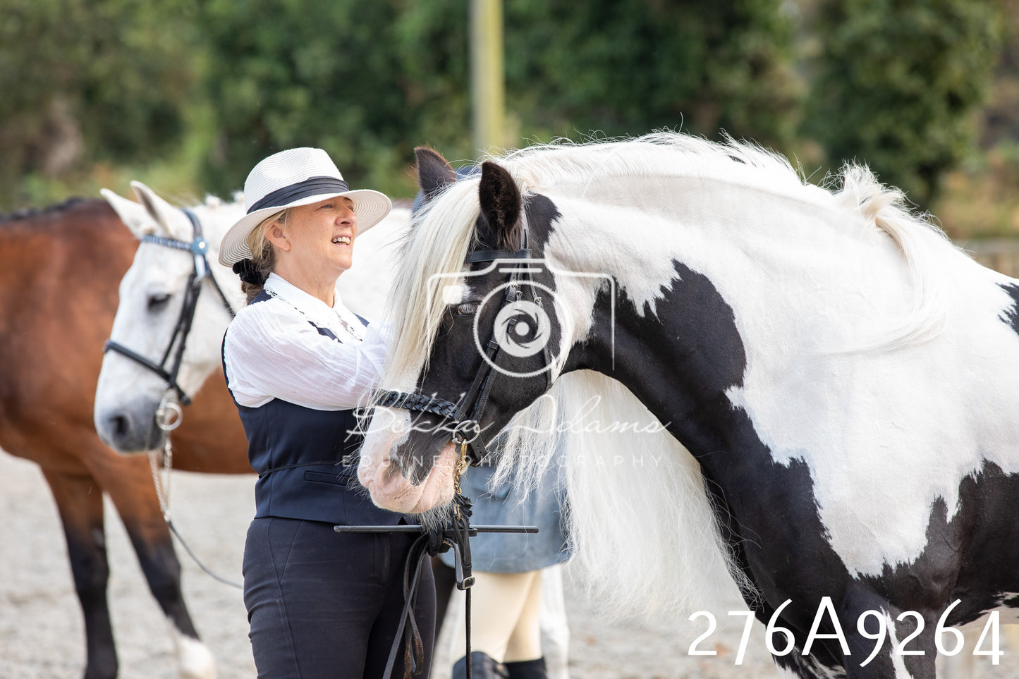Home Farm Annual Show 2025 - Inhand Pt 1