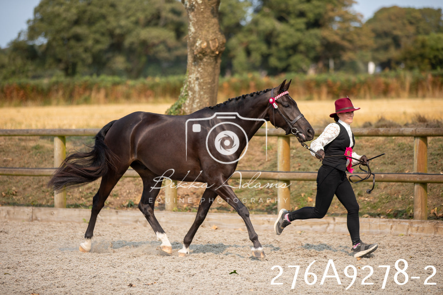Home Farm Annual Show 2025 - Inhand Pt 1