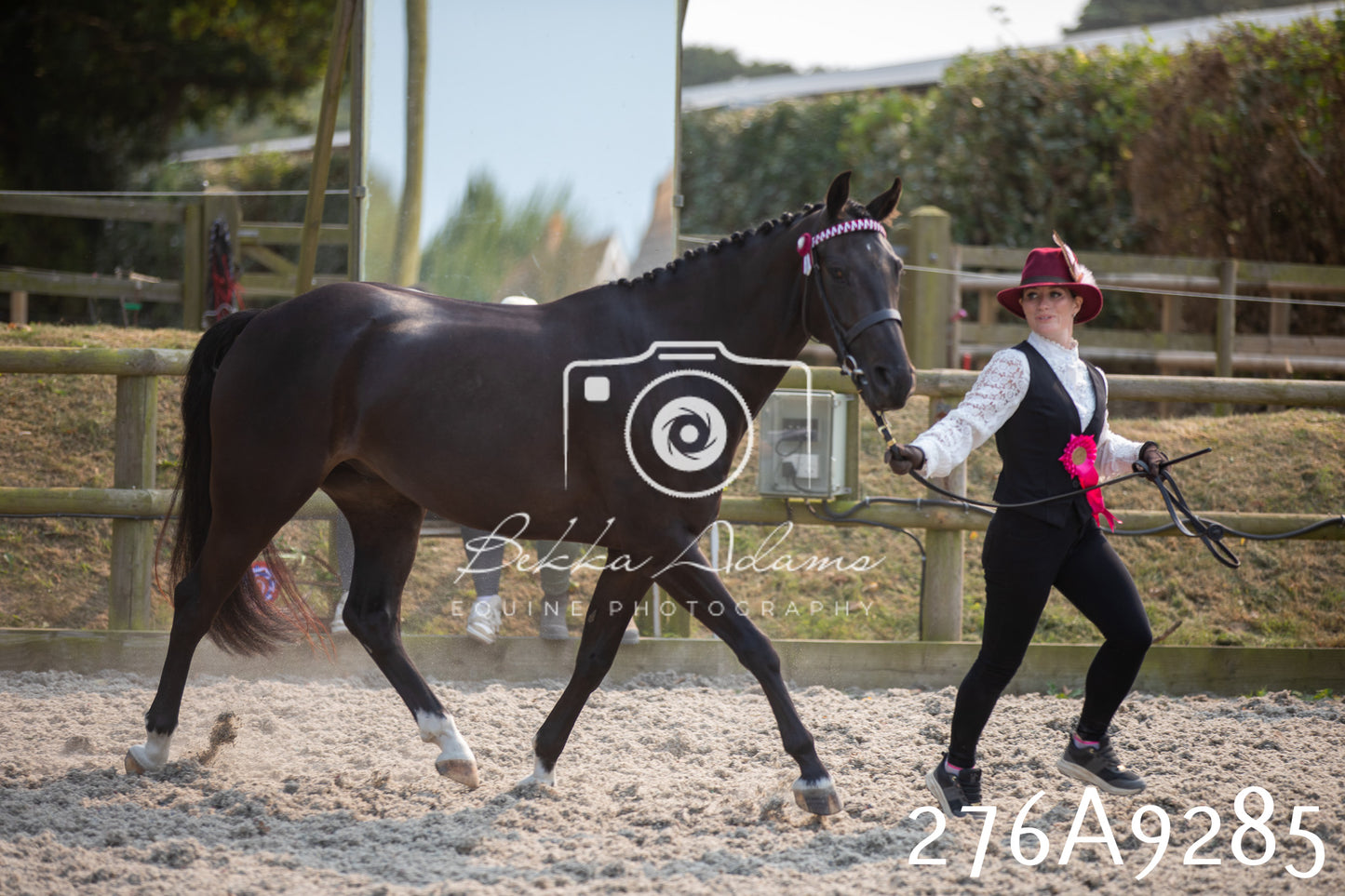Home Farm Annual Show 2025 - Inhand Pt 1