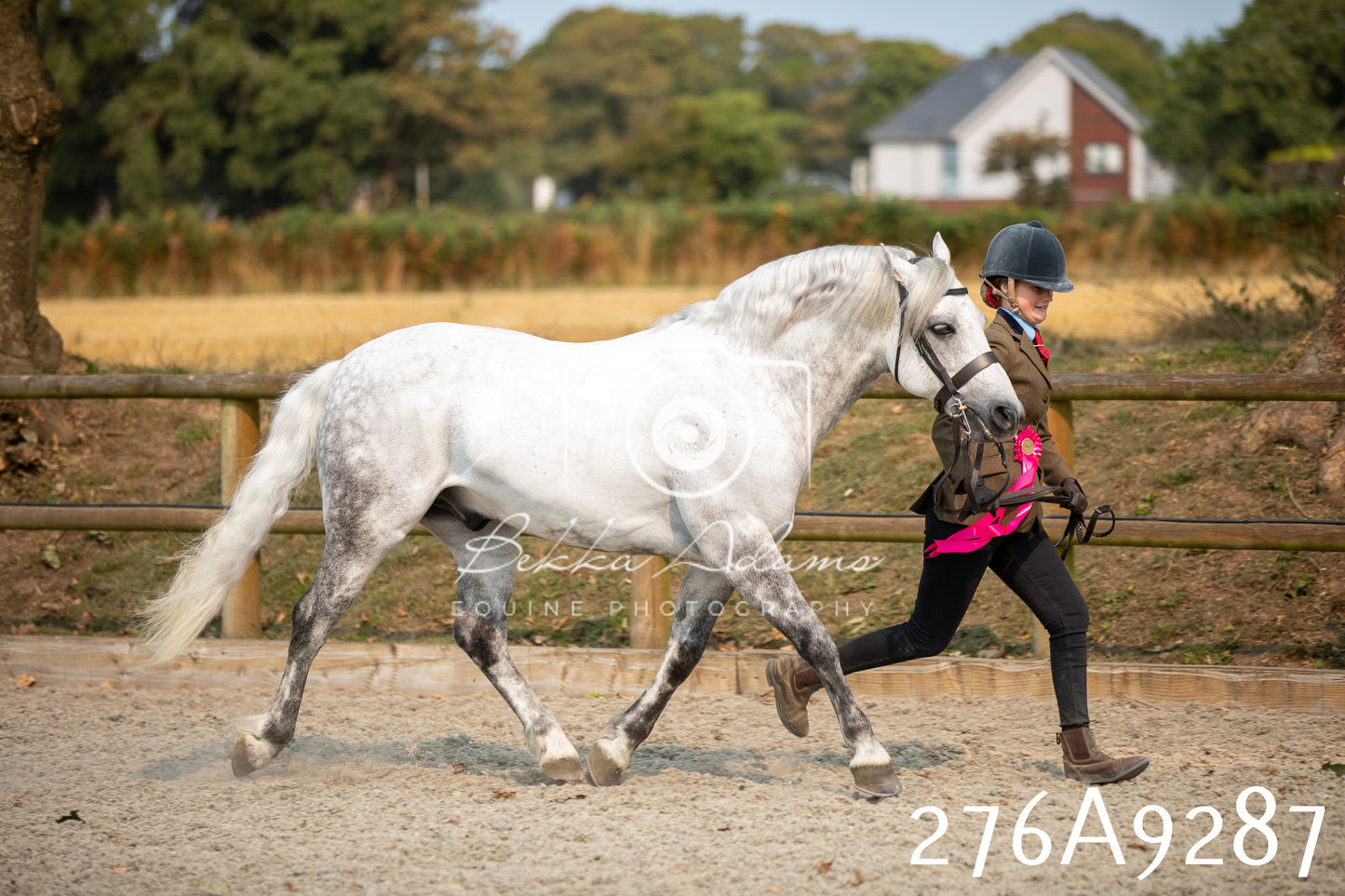 Home Farm Annual Show 2025 - Inhand Pt 1