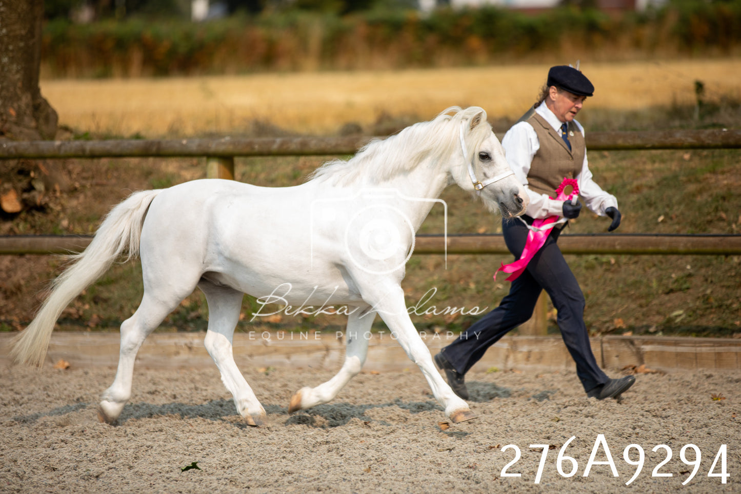 Home Farm Annual Show 2025 - Inhand Pt 1