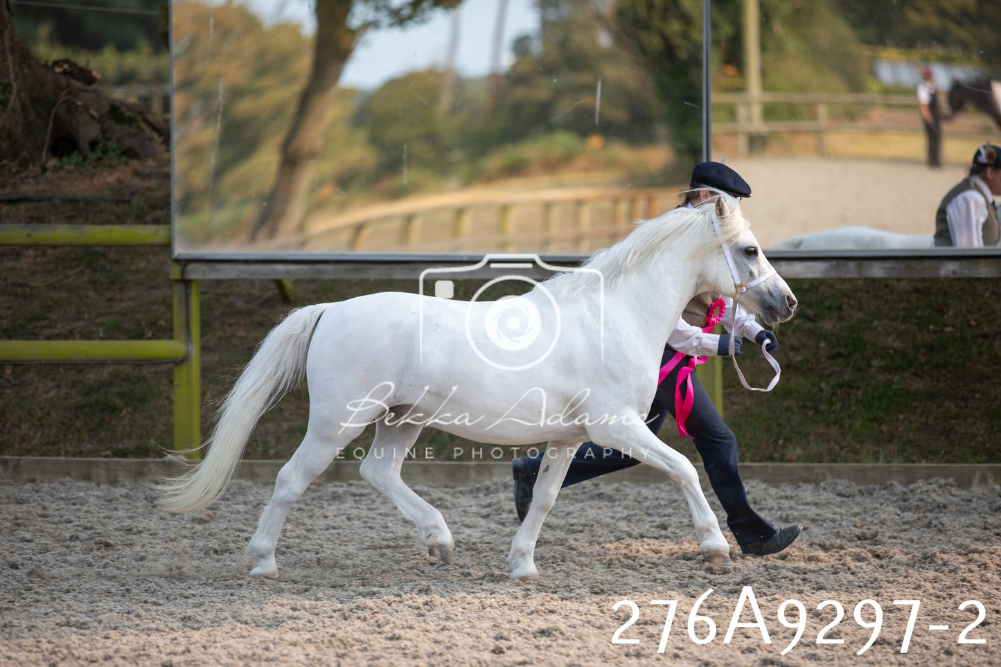 Home Farm Annual Show 2025 - Inhand Pt 1