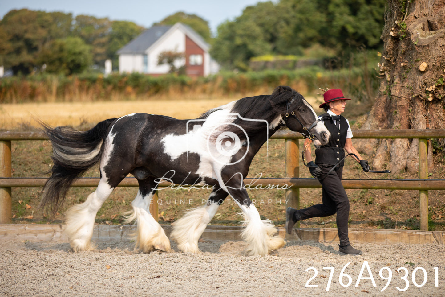 Home Farm Annual Show 2025 - Inhand Pt 1