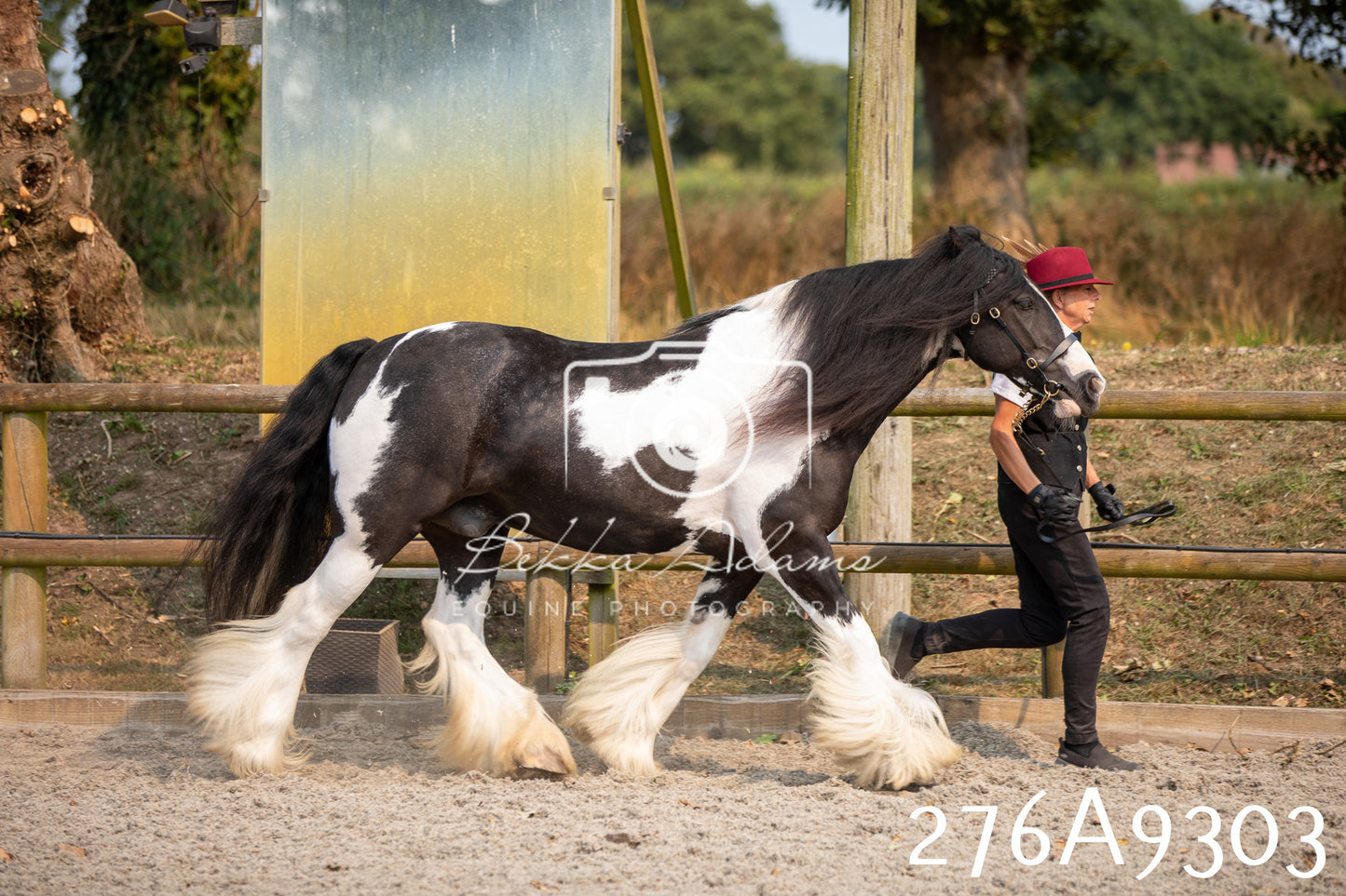 Home Farm Annual Show 2025 - Inhand Pt 1