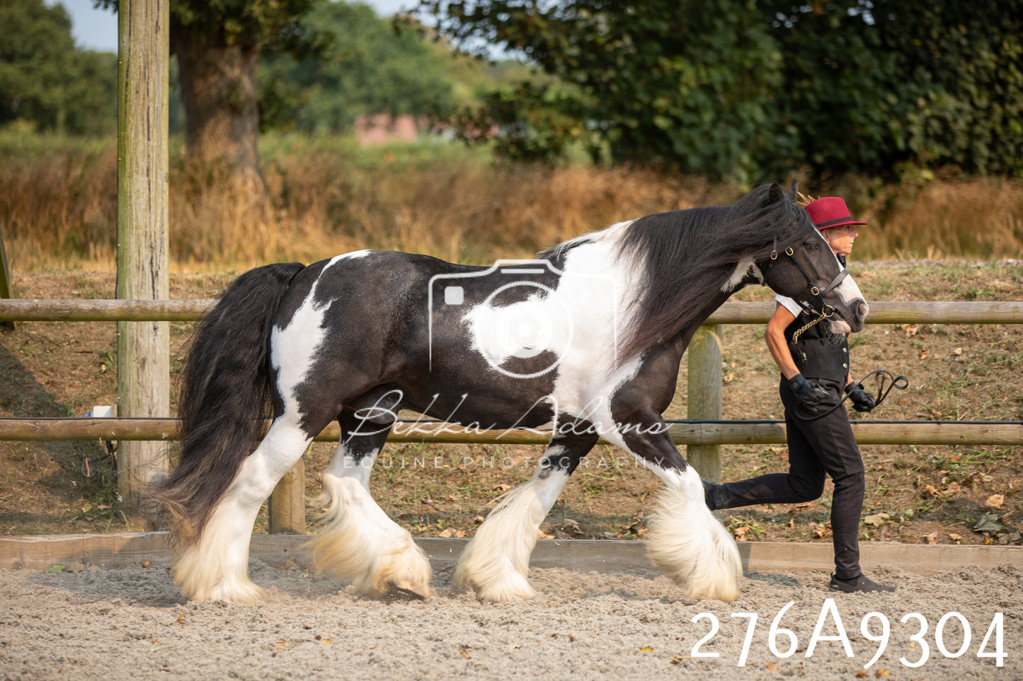 Home Farm Annual Show 2025 - Inhand Pt 1