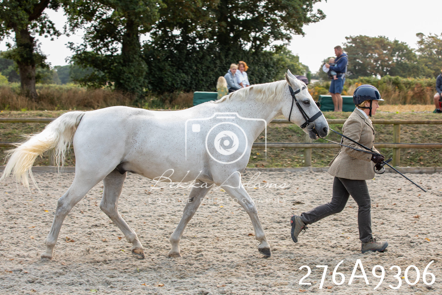 Home Farm Annual Show 2025 - Inhand Pt 1