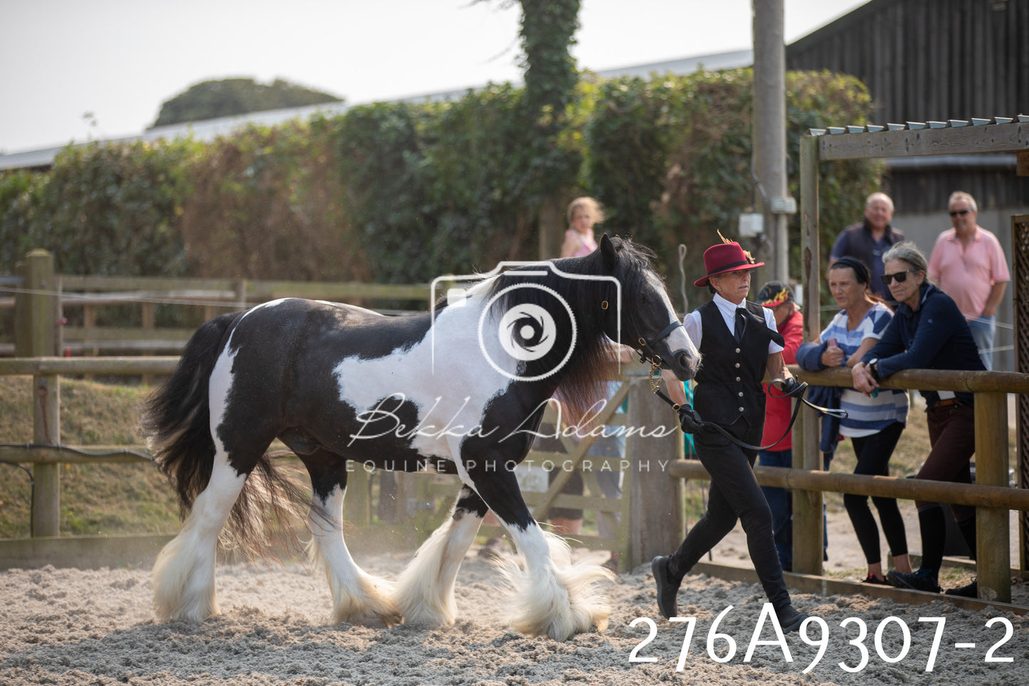 Home Farm Annual Show 2025 - Inhand Pt 1