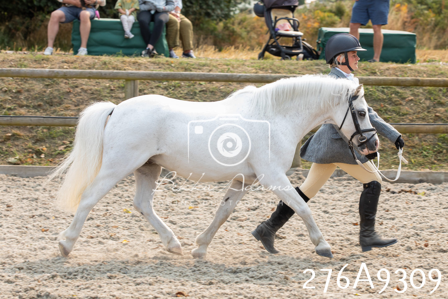 Home Farm Annual Show 2025 - Inhand Pt 1