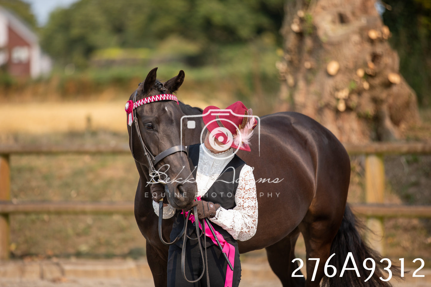Home Farm Annual Show 2025 - Inhand Pt 1