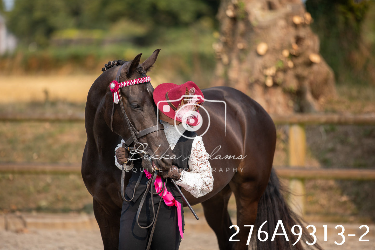 Home Farm Annual Show 2025 - Inhand Pt 1