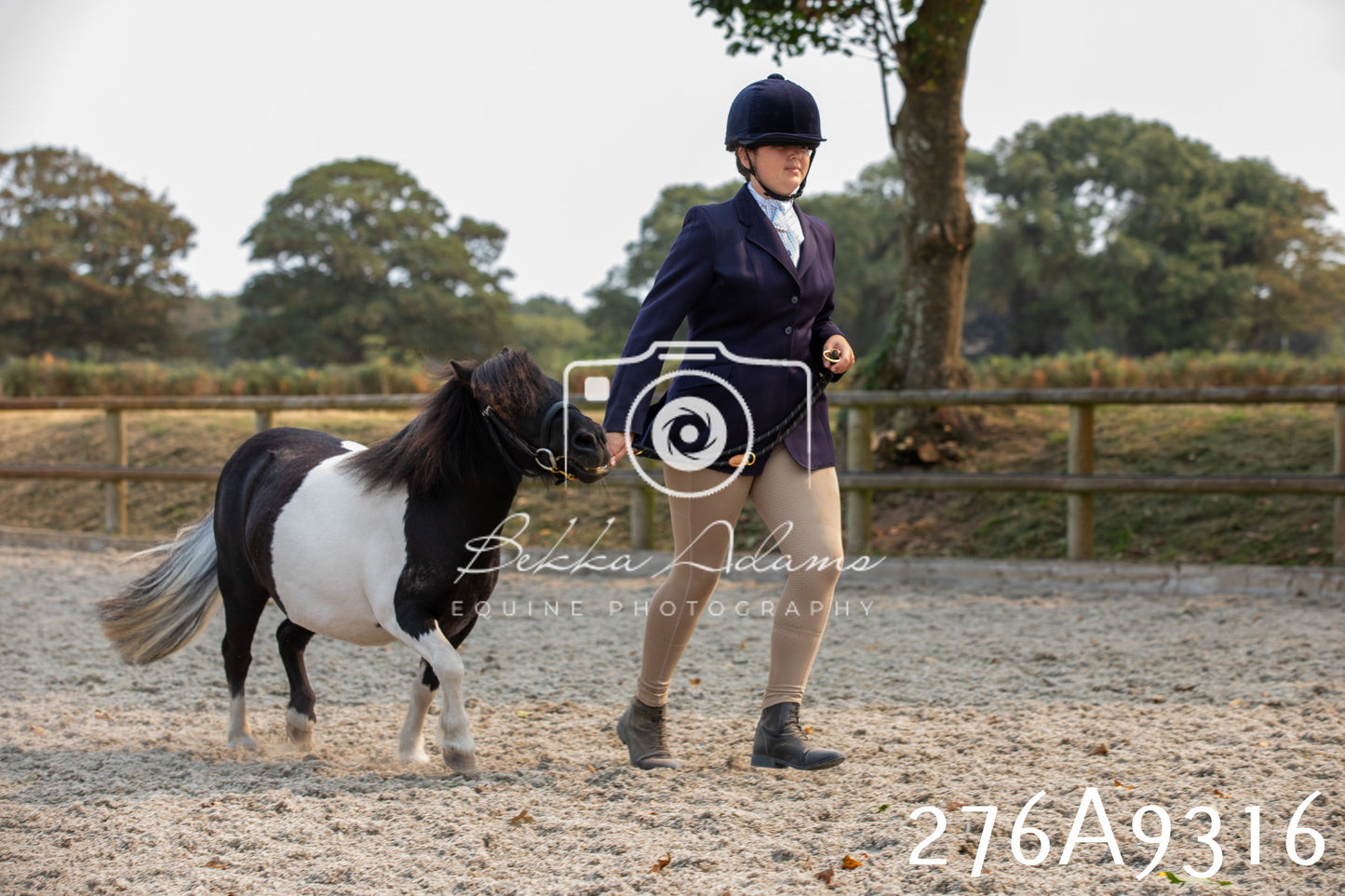 Home Farm Annual Show 2025 - Inhand Pt 1