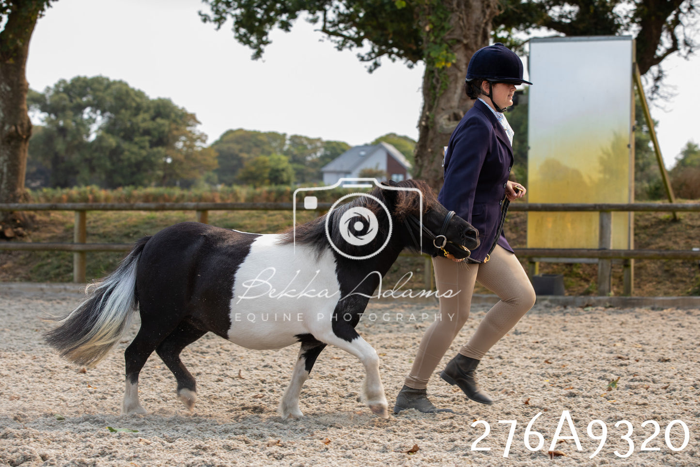Home Farm Annual Show 2025 - Inhand Pt 1