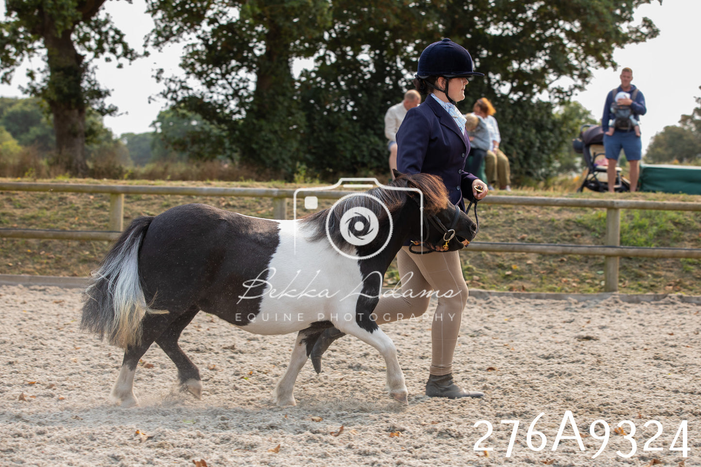 Home Farm Annual Show 2025 - Inhand Pt 1