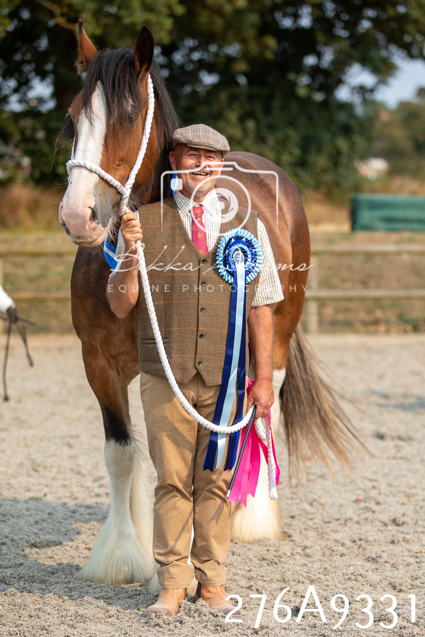 Home Farm Annual Show 2025 - Inhand Pt 1