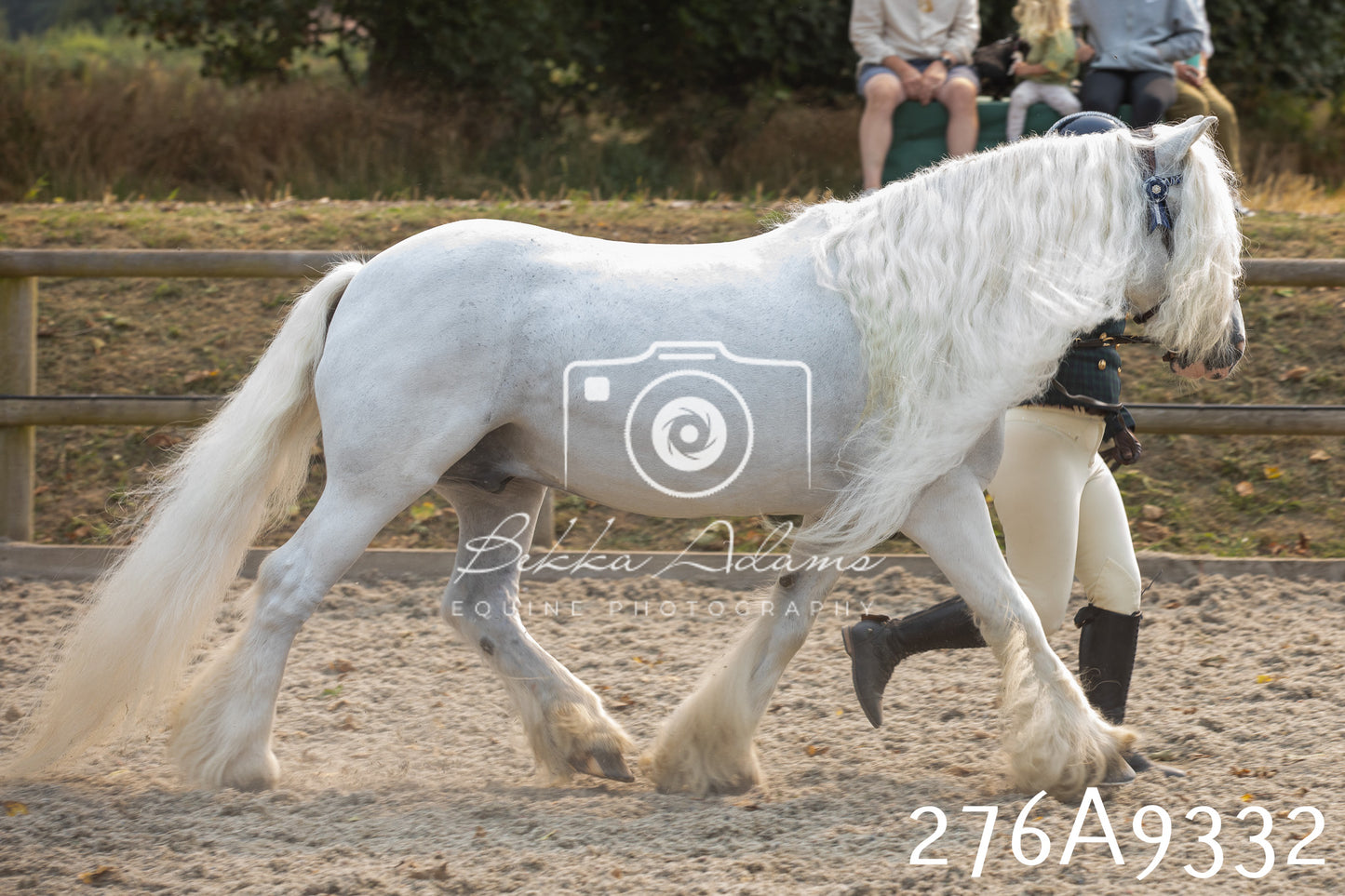 Home Farm Annual Show 2025 - Inhand Pt 1