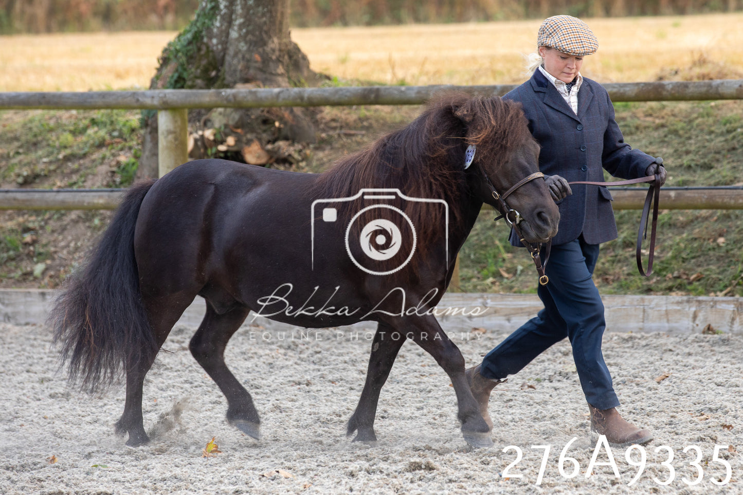 Home Farm Annual Show 2025 - Inhand Pt 1