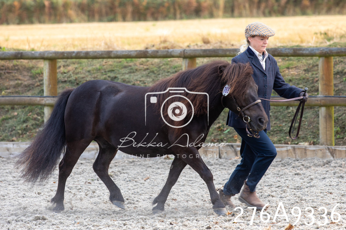 Home Farm Annual Show 2025 - Inhand Pt 1