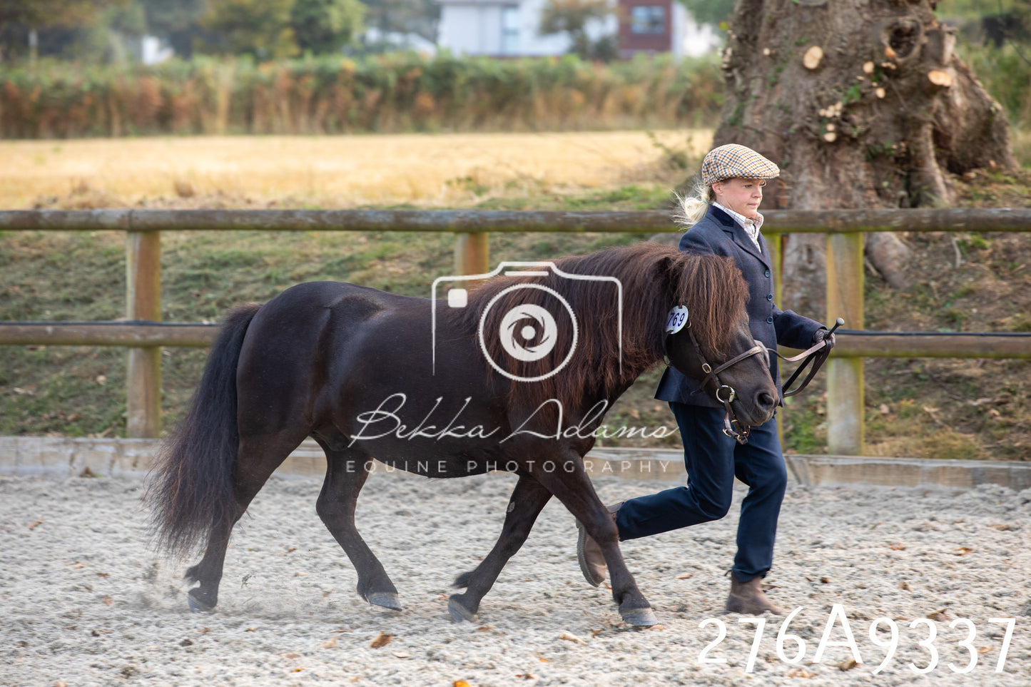 Home Farm Annual Show 2025 - Inhand Pt 1