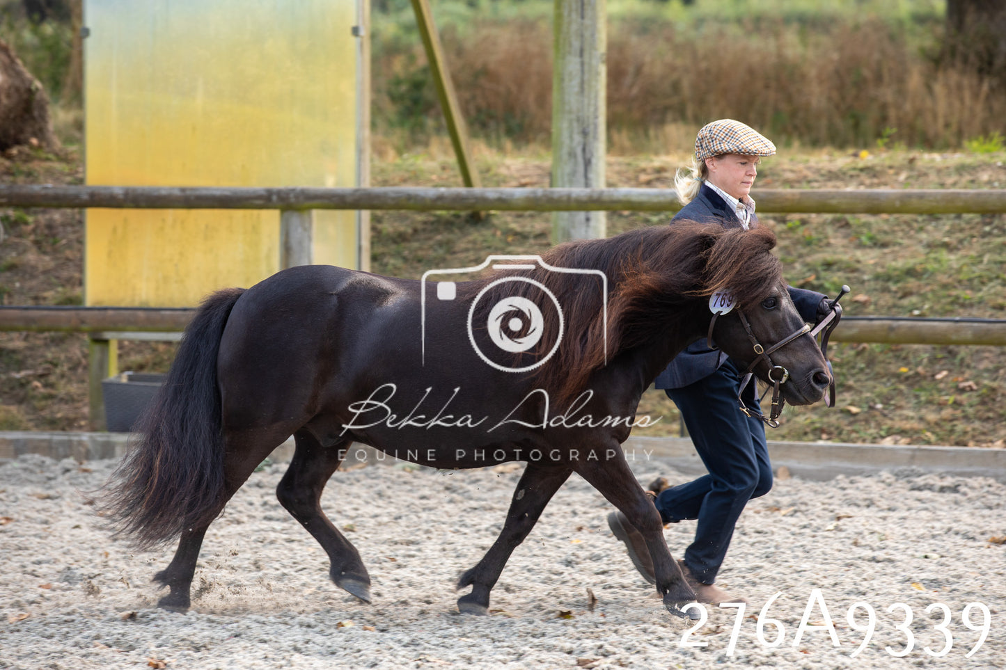 Home Farm Annual Show 2025 - Inhand Pt 1