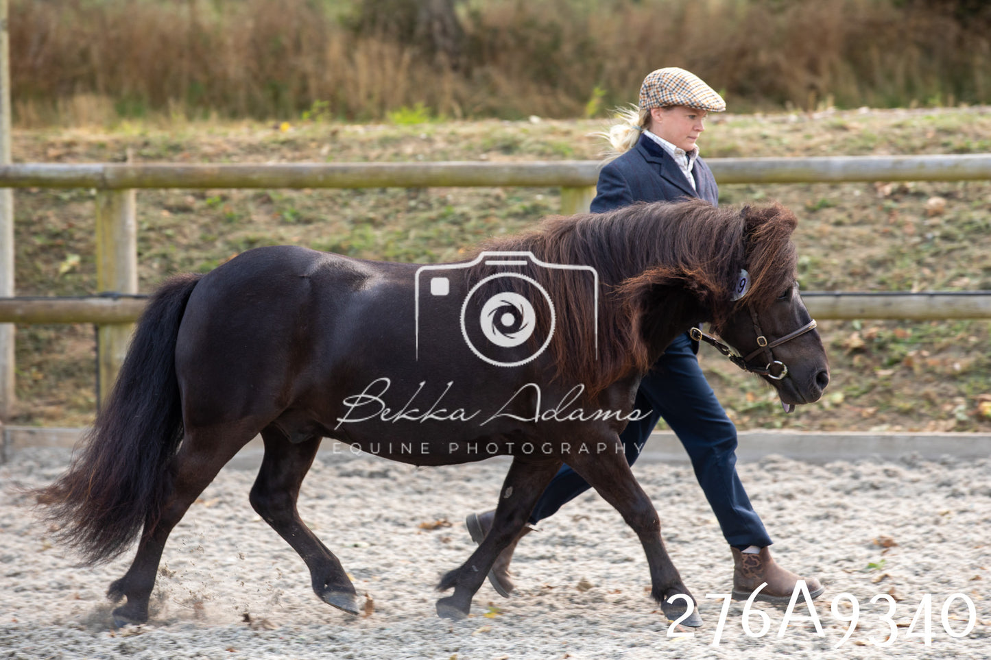 Home Farm Annual Show 2025 - Inhand Pt 1