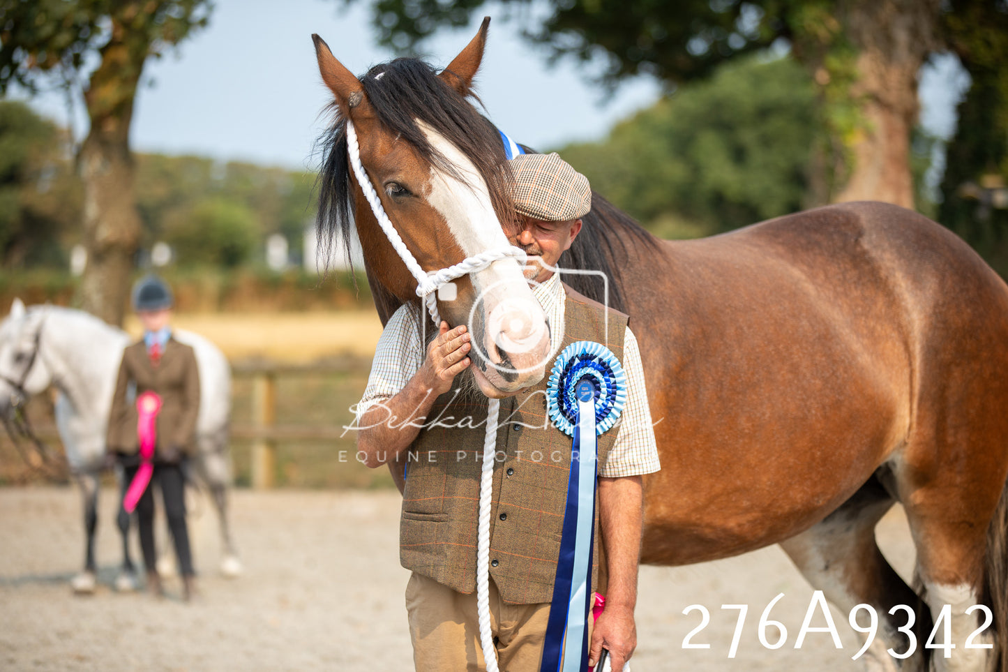 Home Farm Annual Show 2025 - Inhand Pt 1