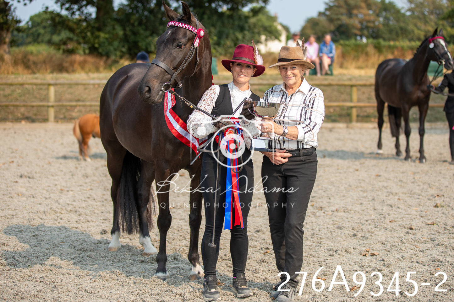Home Farm Annual Show 2025 - Inhand Pt 1