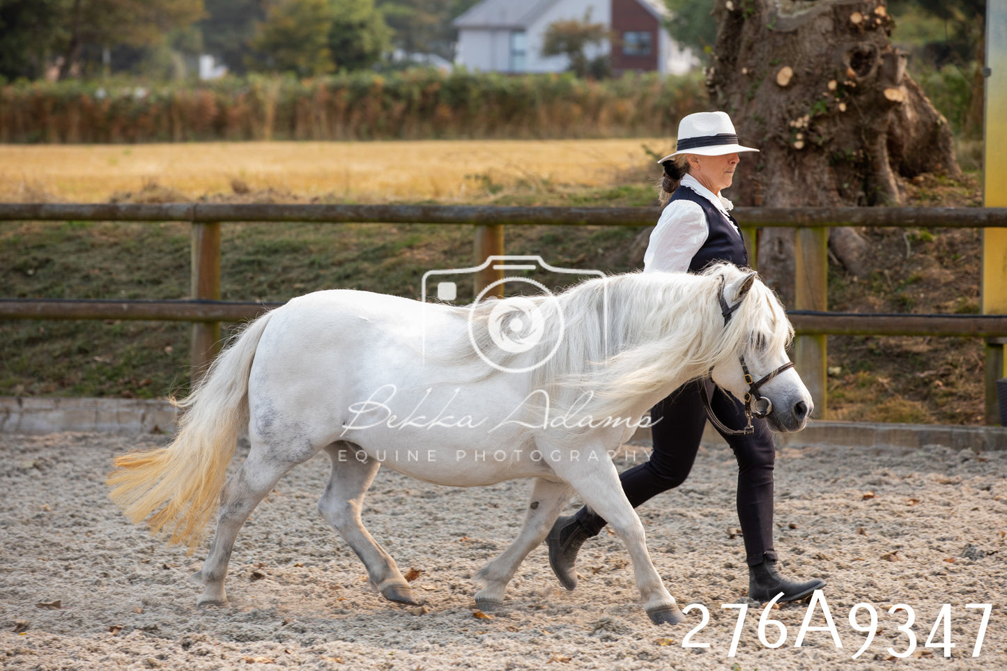 Home Farm Annual Show 2025 - Inhand Pt 1