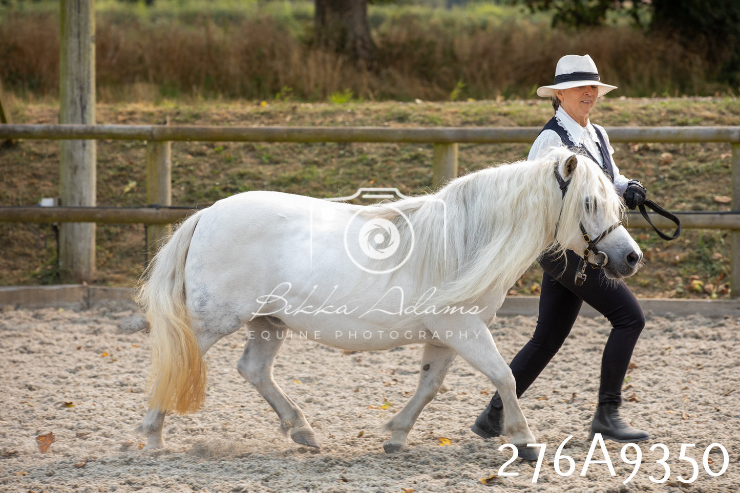 Home Farm Annual Show 2025 - Inhand Pt 1