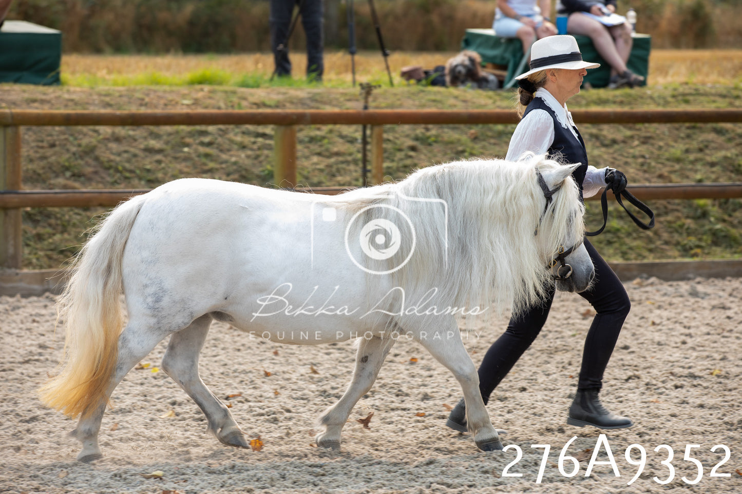 Home Farm Annual Show 2025 - Inhand Pt 1
