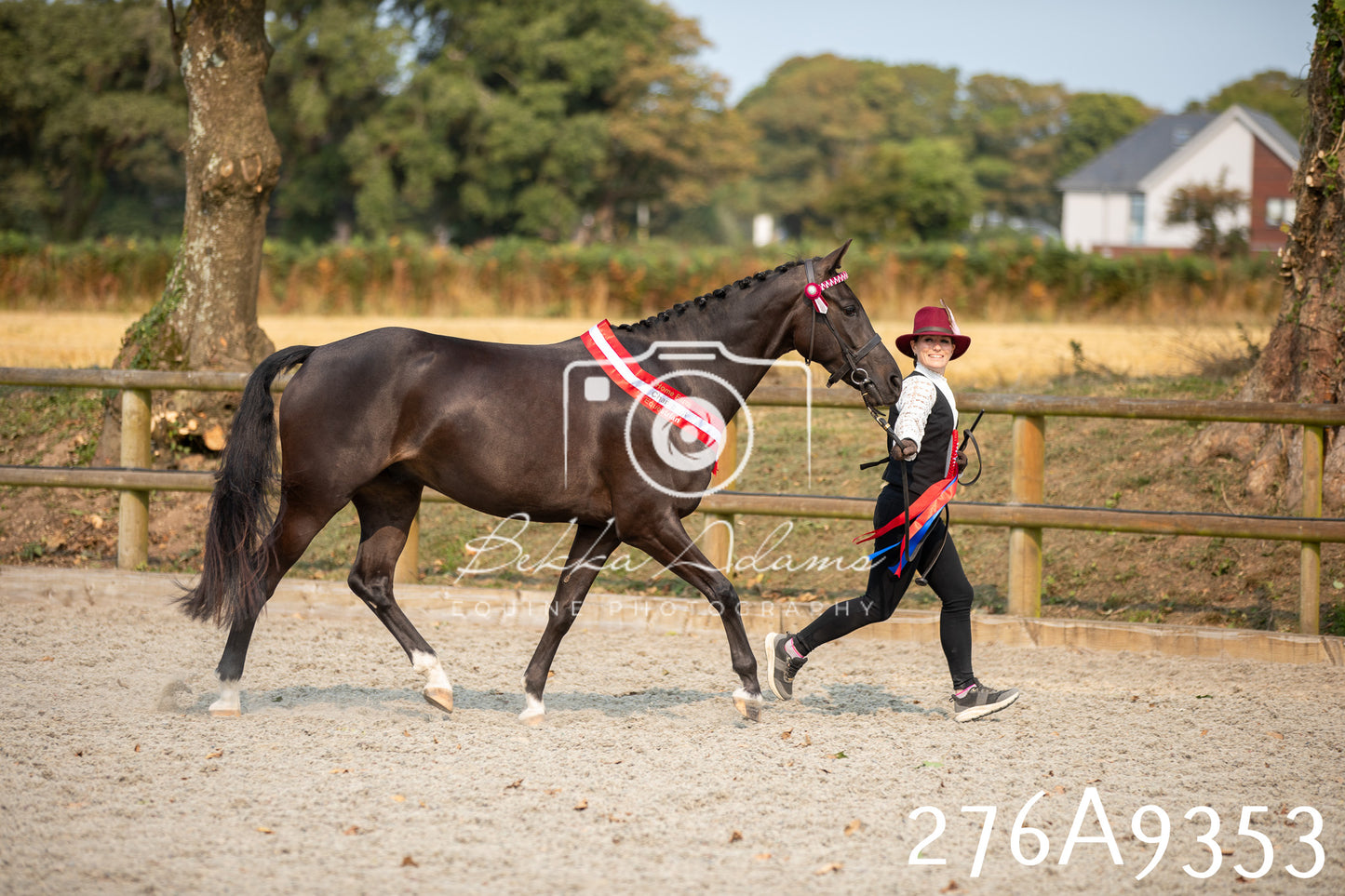 Home Farm Annual Show 2025 - Inhand Pt 1