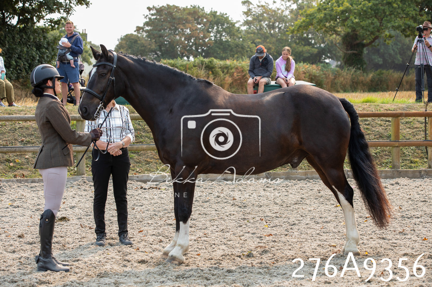 Home Farm Annual Show 2025 - Inhand Pt 1