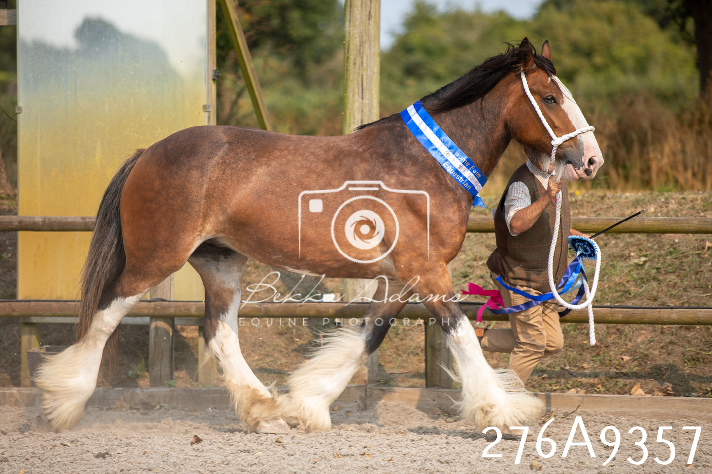 Home Farm Annual Show 2025 - Inhand Pt 1