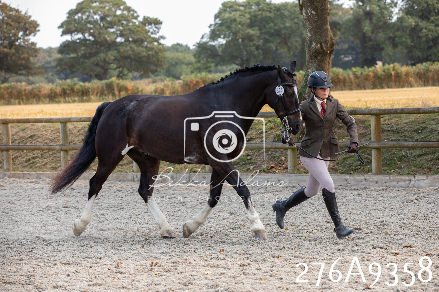 Home Farm Annual Show 2025 - Inhand Pt 1
