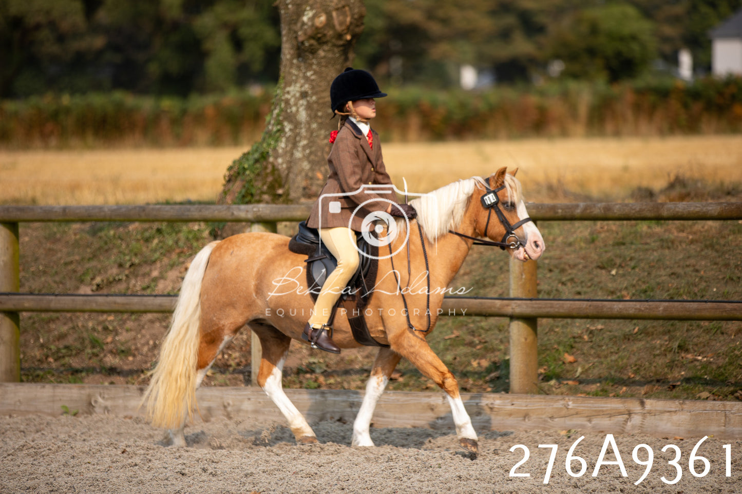 Home Farm Annual Show 2025 - Ridden Pt 1