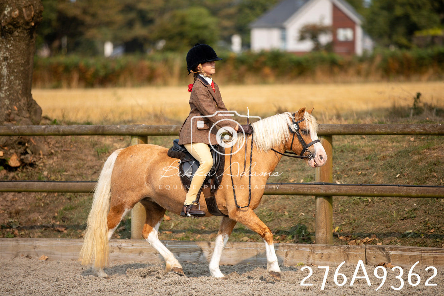 Home Farm Annual Show 2025 - Ridden Pt 1