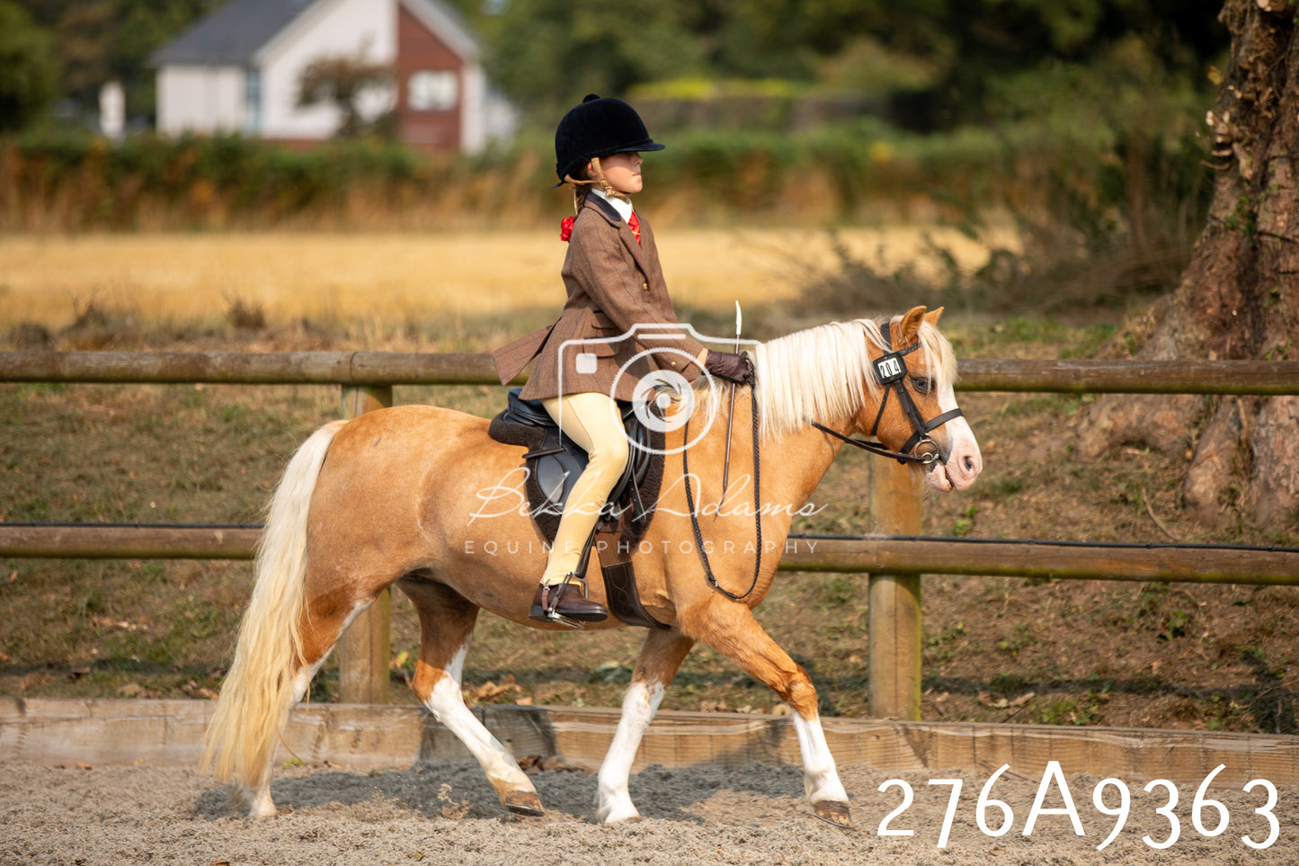 Home Farm Annual Show 2025 - Ridden Pt 1