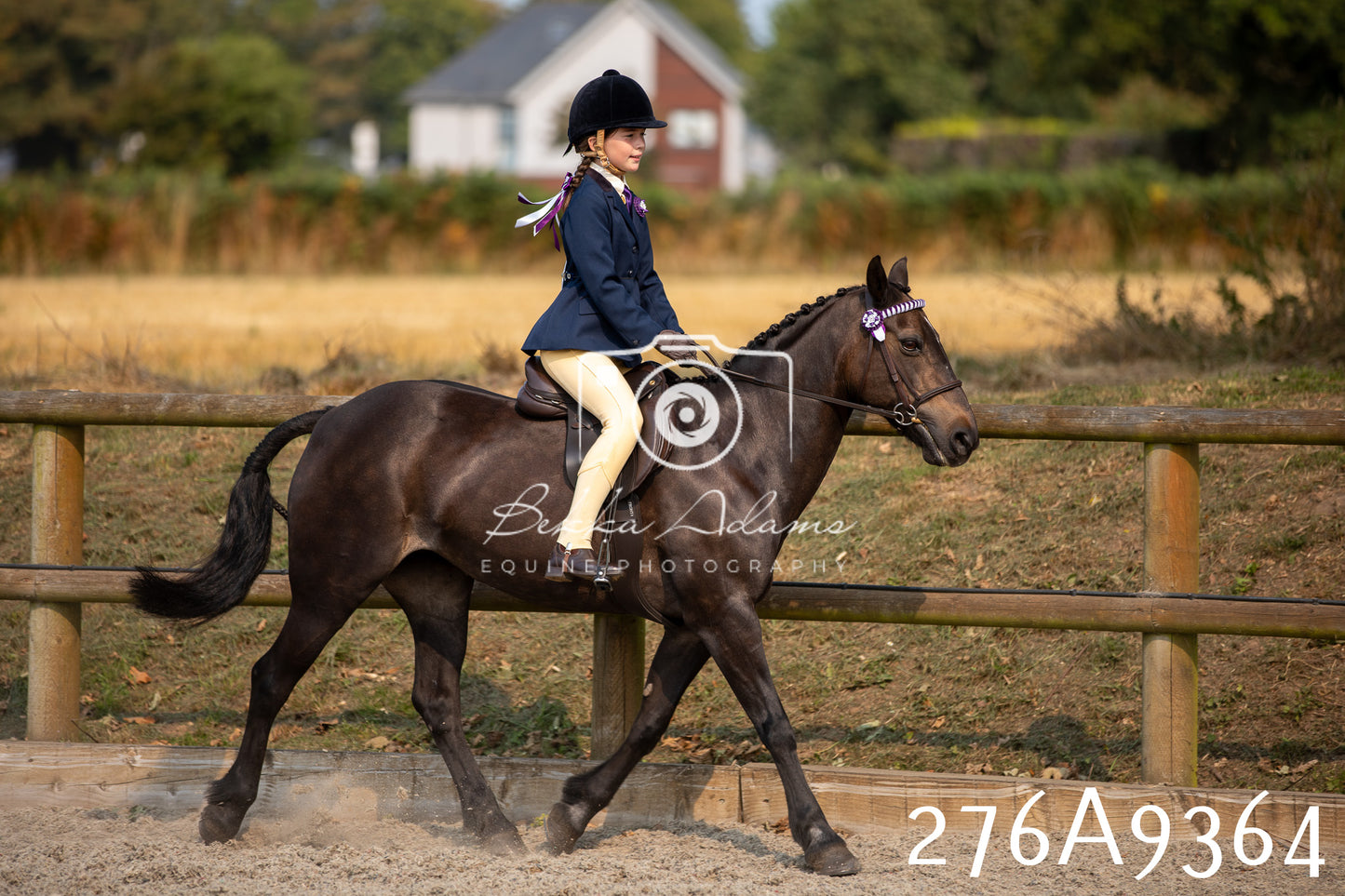 Home Farm Annual Show 2025 - Ridden Pt 1