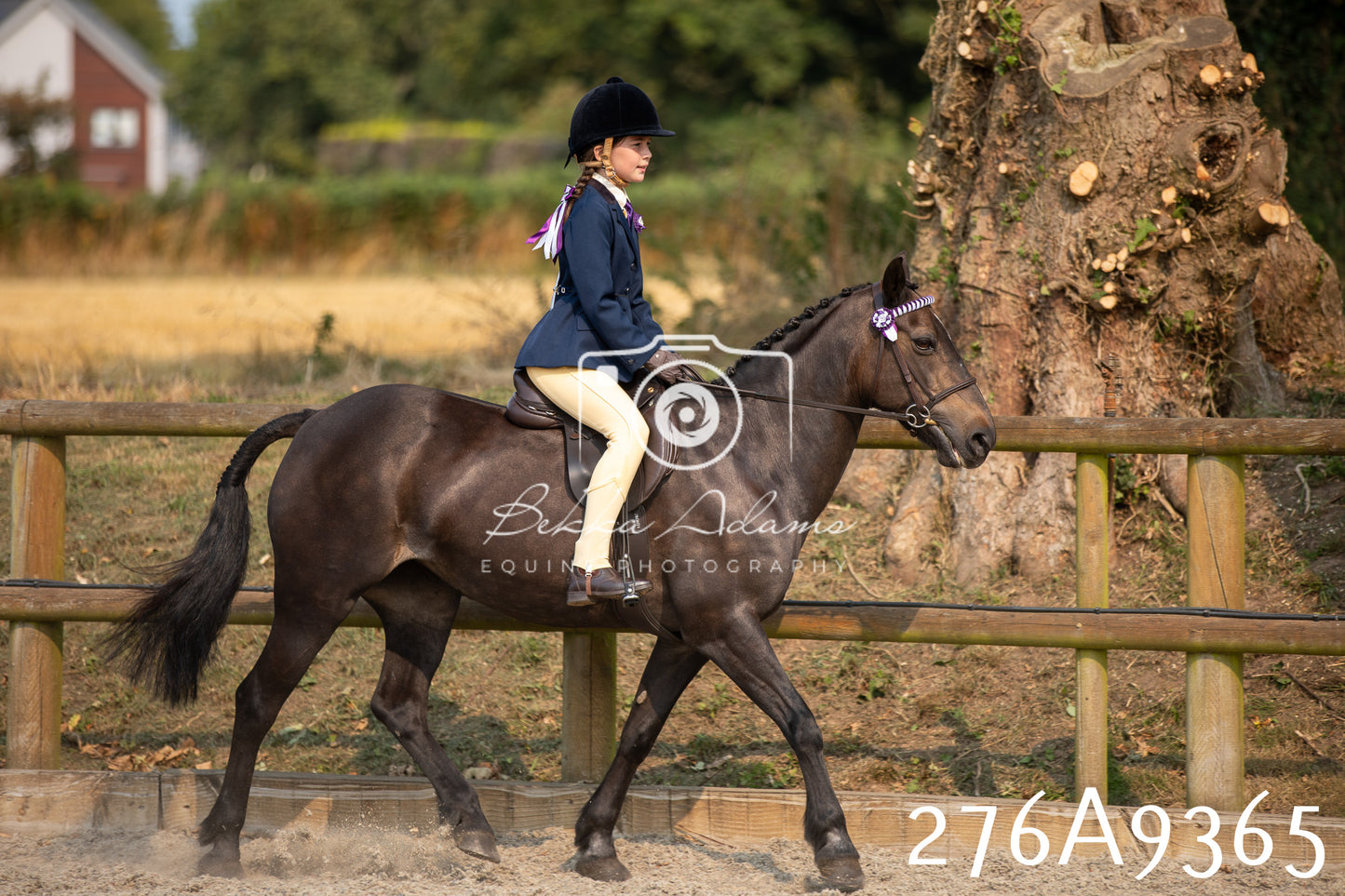 Home Farm Annual Show 2025 - Ridden Pt 1