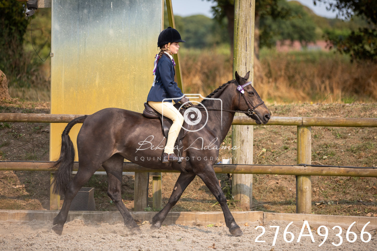 Home Farm Annual Show 2025 - Ridden Pt 1