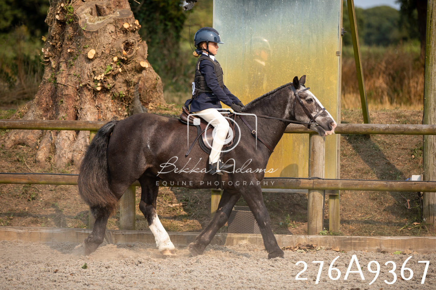 Home Farm Annual Show 2025 - Ridden Pt 1