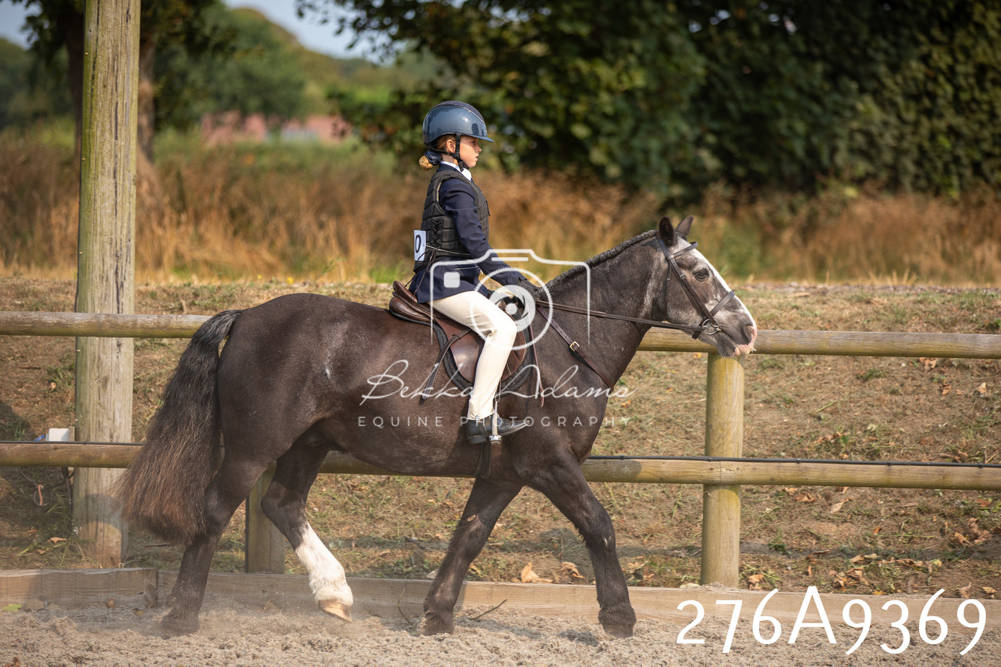 Home Farm Annual Show 2025 - Ridden Pt 1