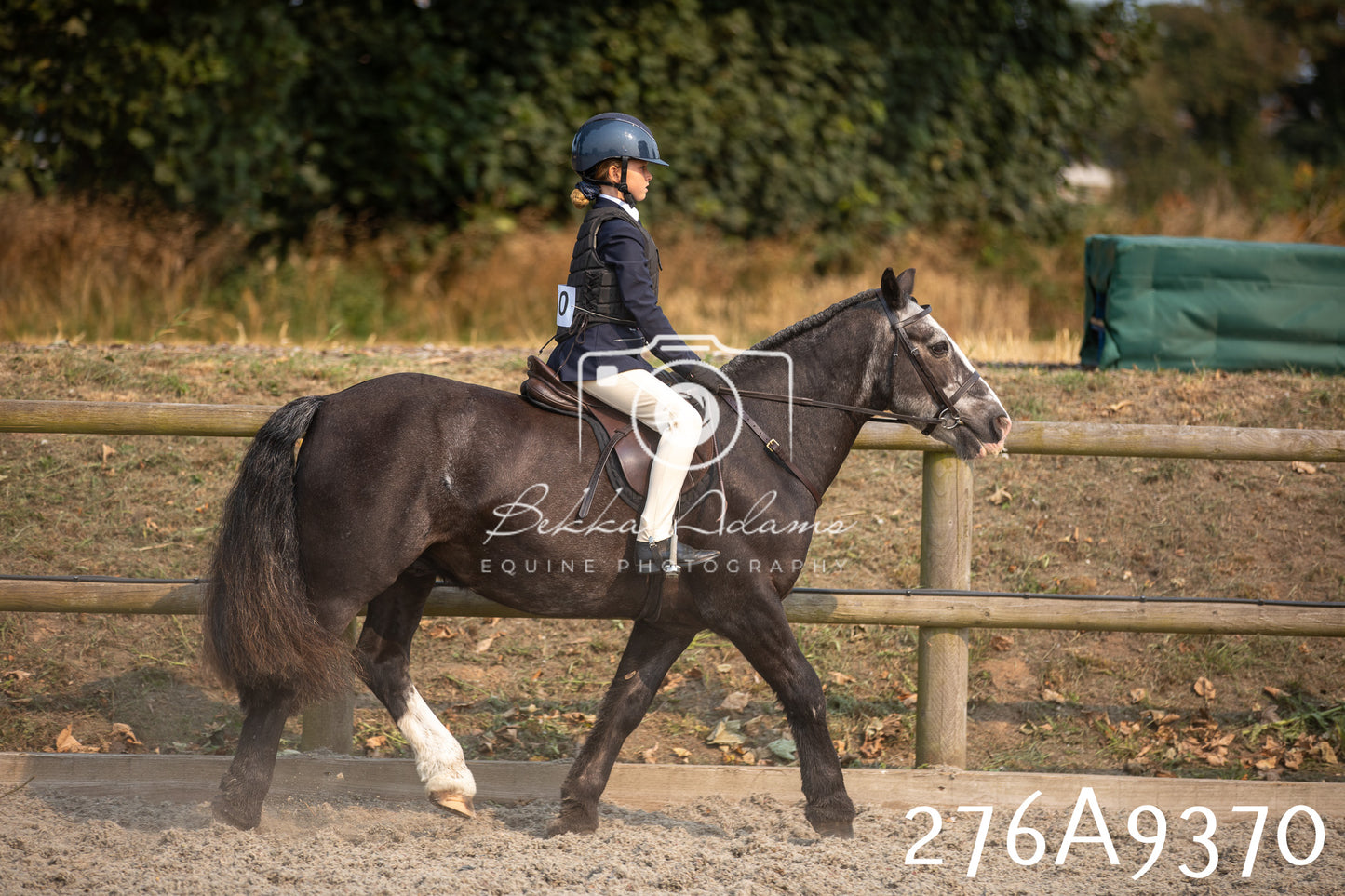 Home Farm Annual Show 2025 - Ridden Pt 1