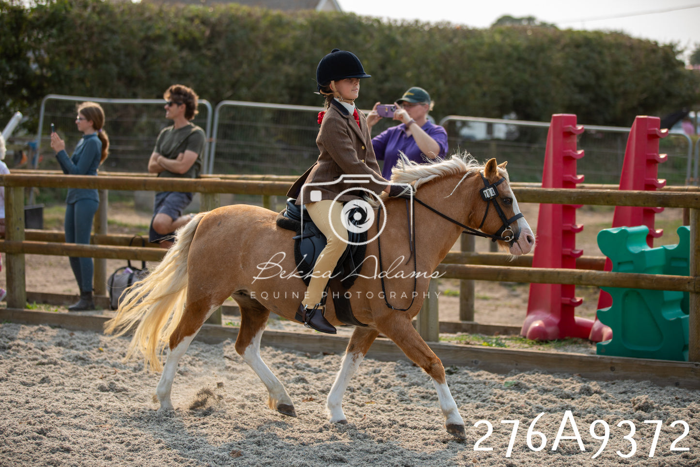 Home Farm Annual Show 2025 - Ridden Pt 1