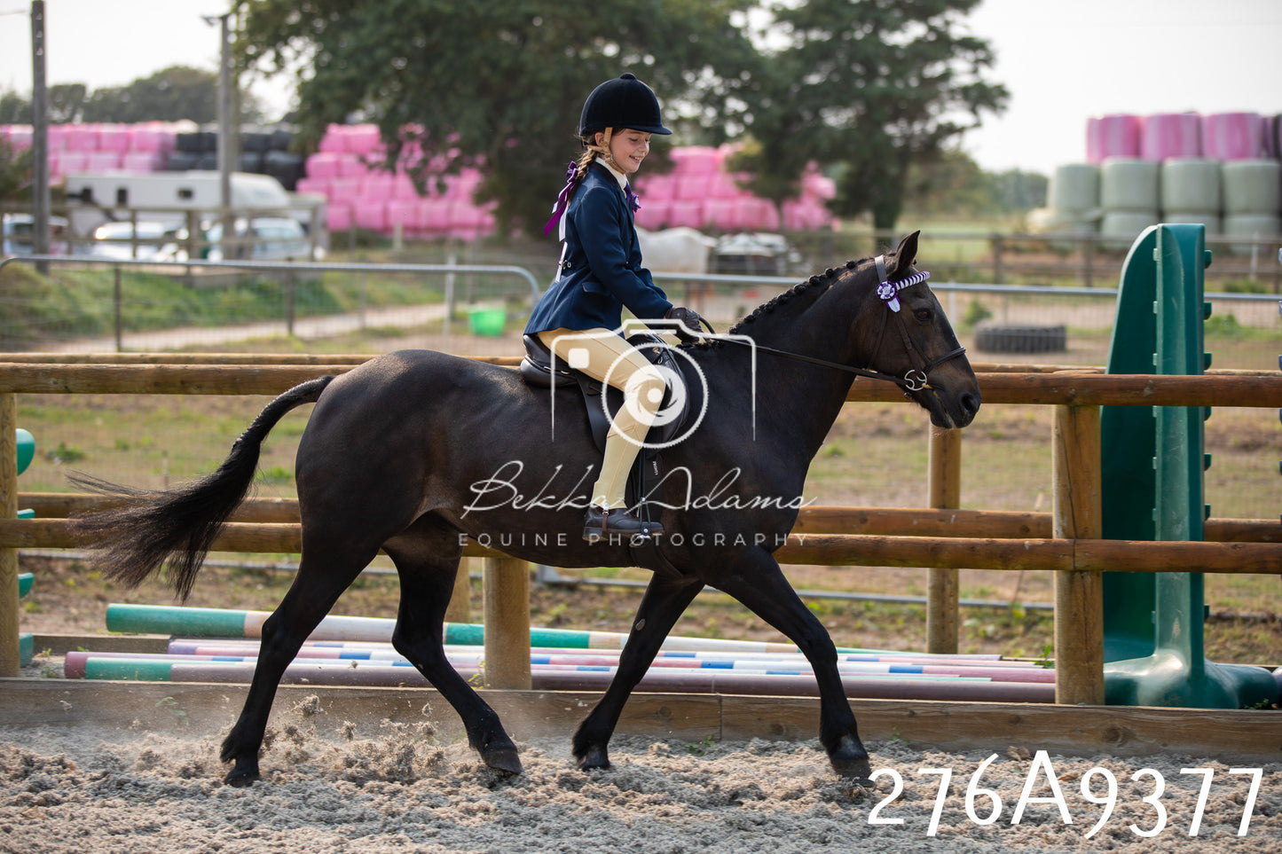 Home Farm Annual Show 2025 - Ridden Pt 1