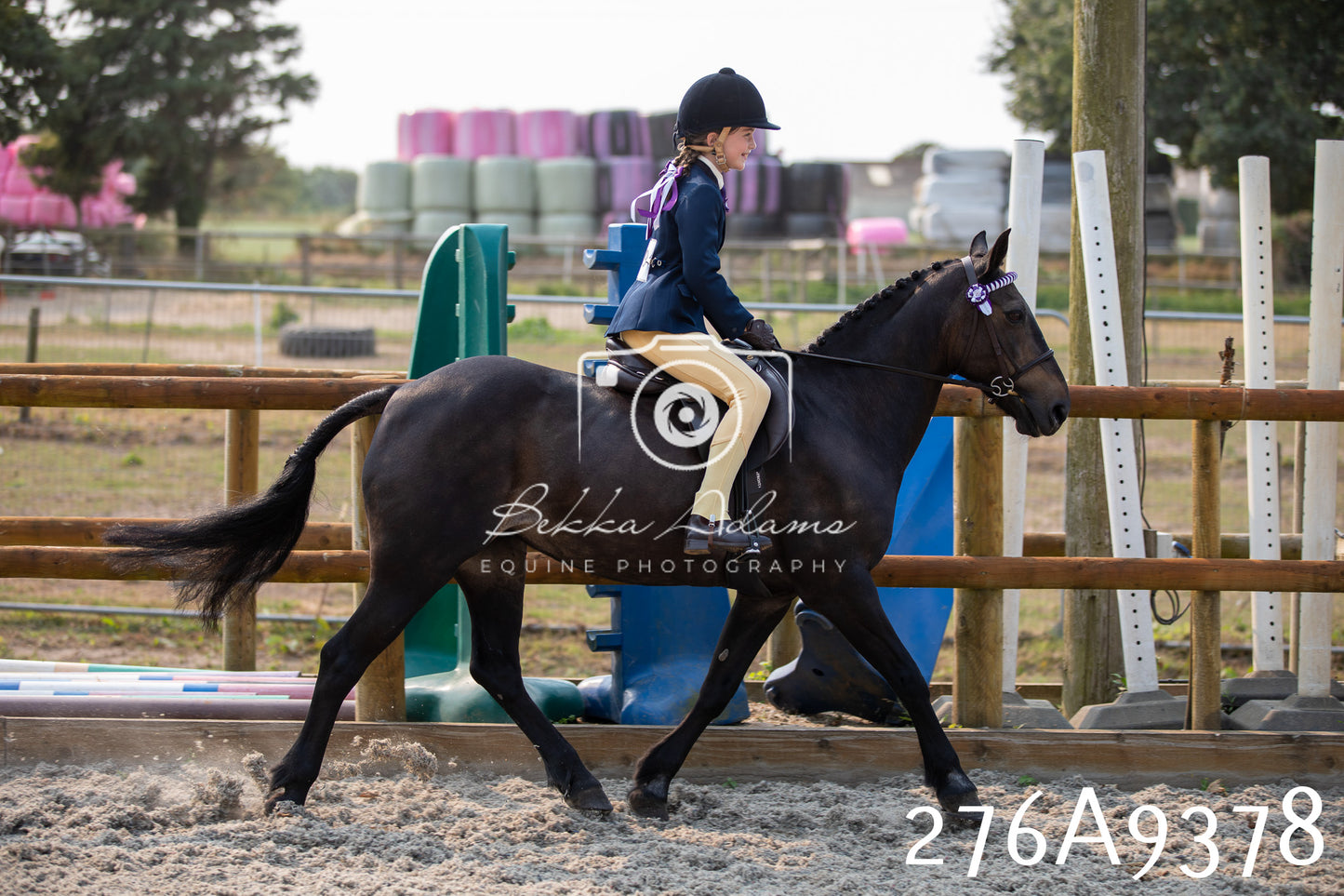 Home Farm Annual Show 2025 - Ridden Pt 1