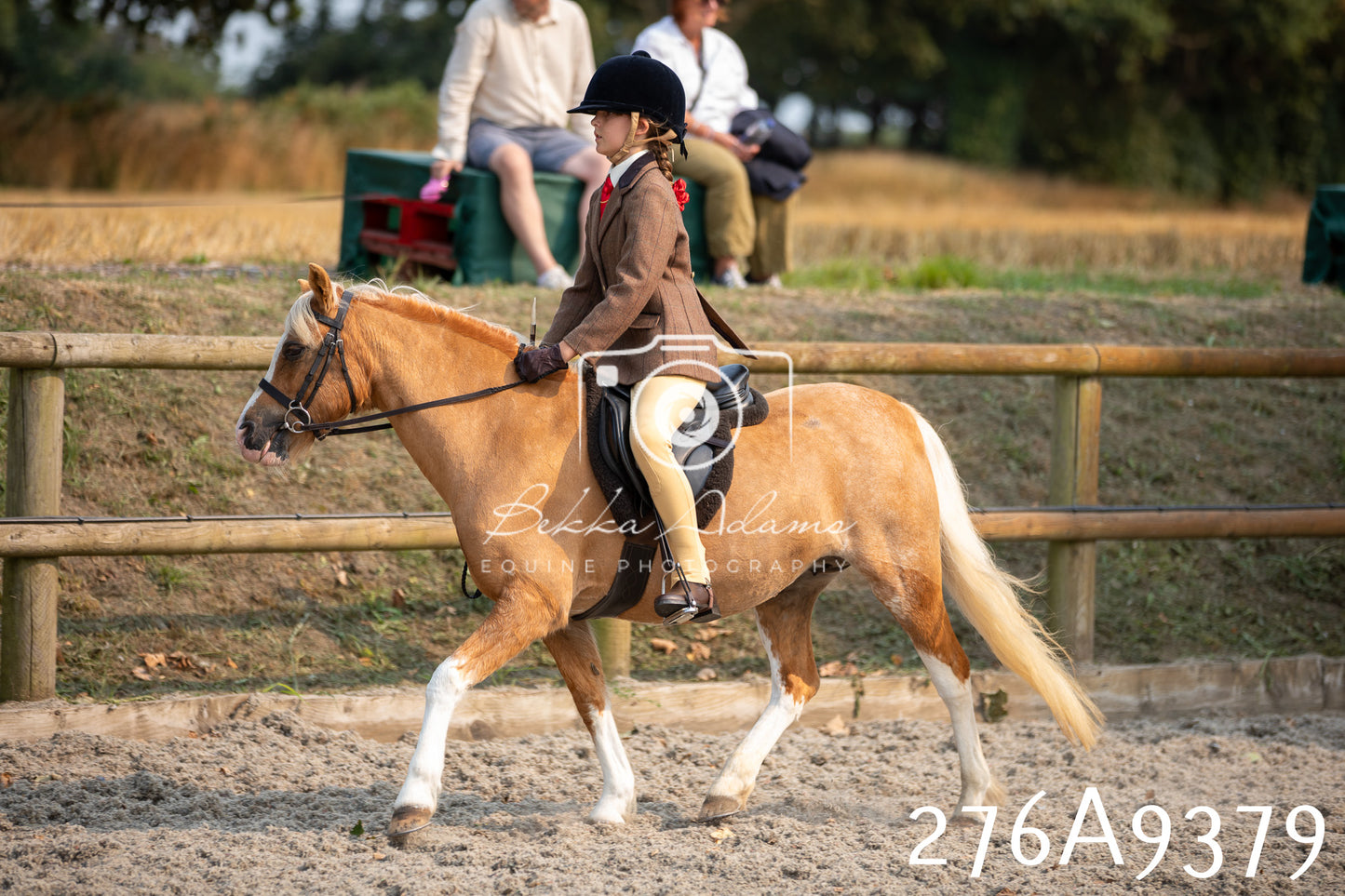 Home Farm Annual Show 2025 - Ridden Pt 1